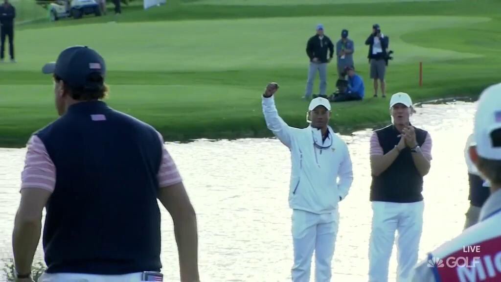 Tiger fist pump 0048