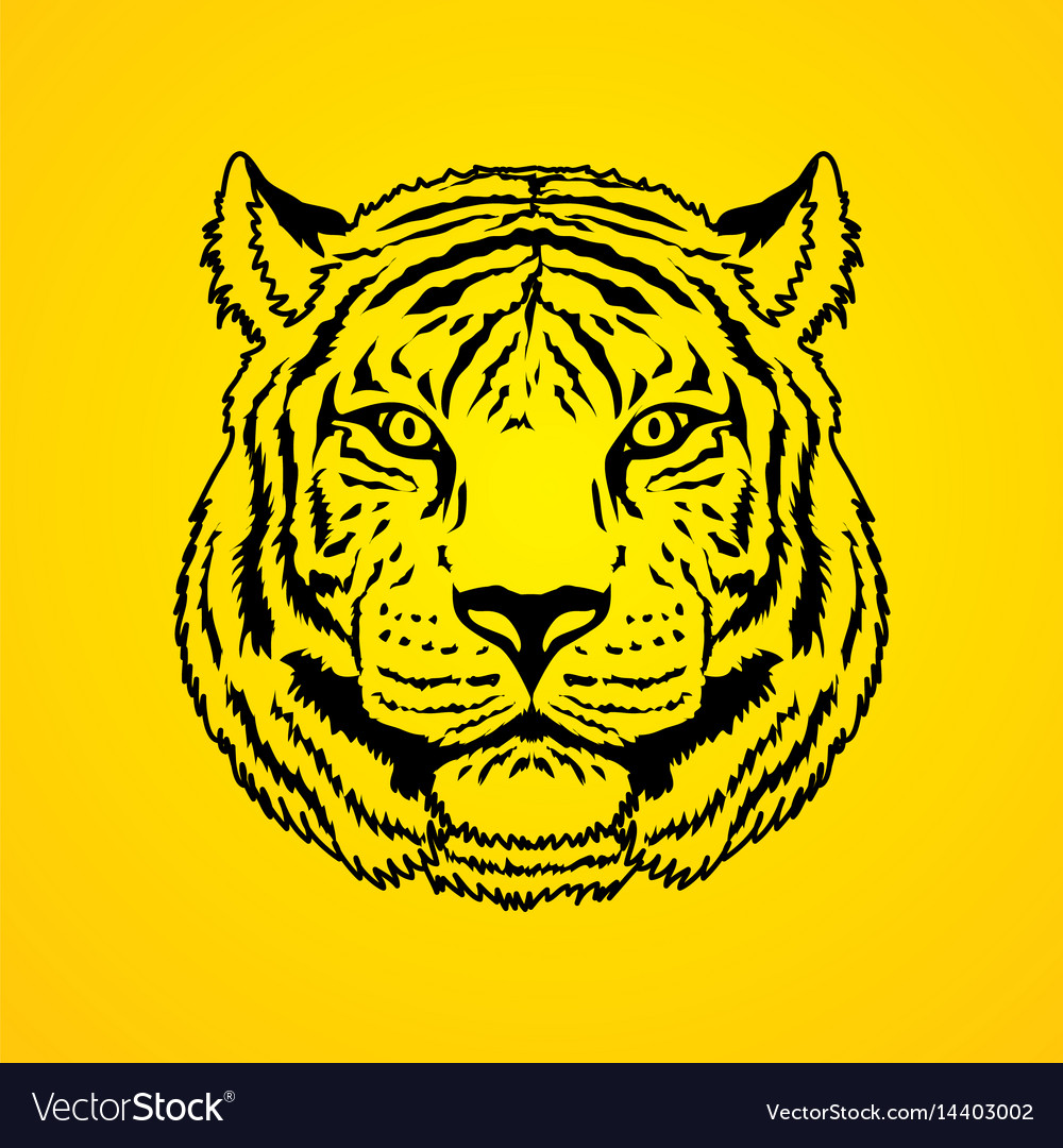 Tiger front view 0033