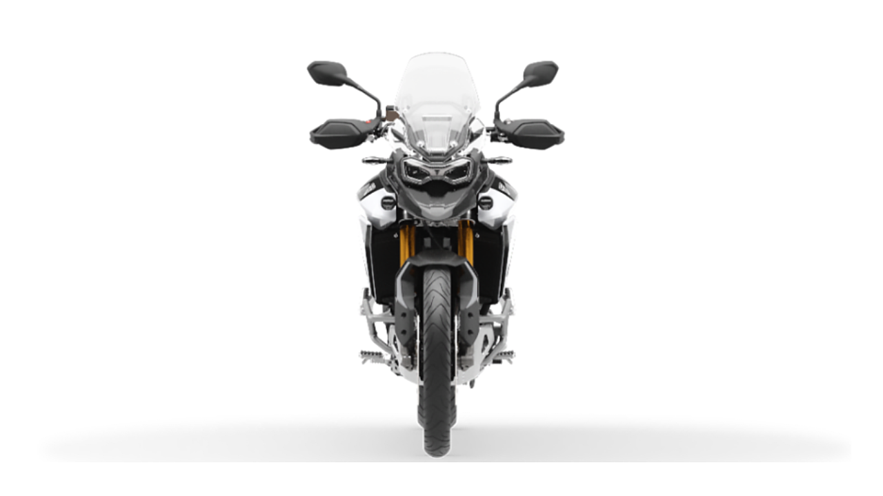 Tiger front view 0048