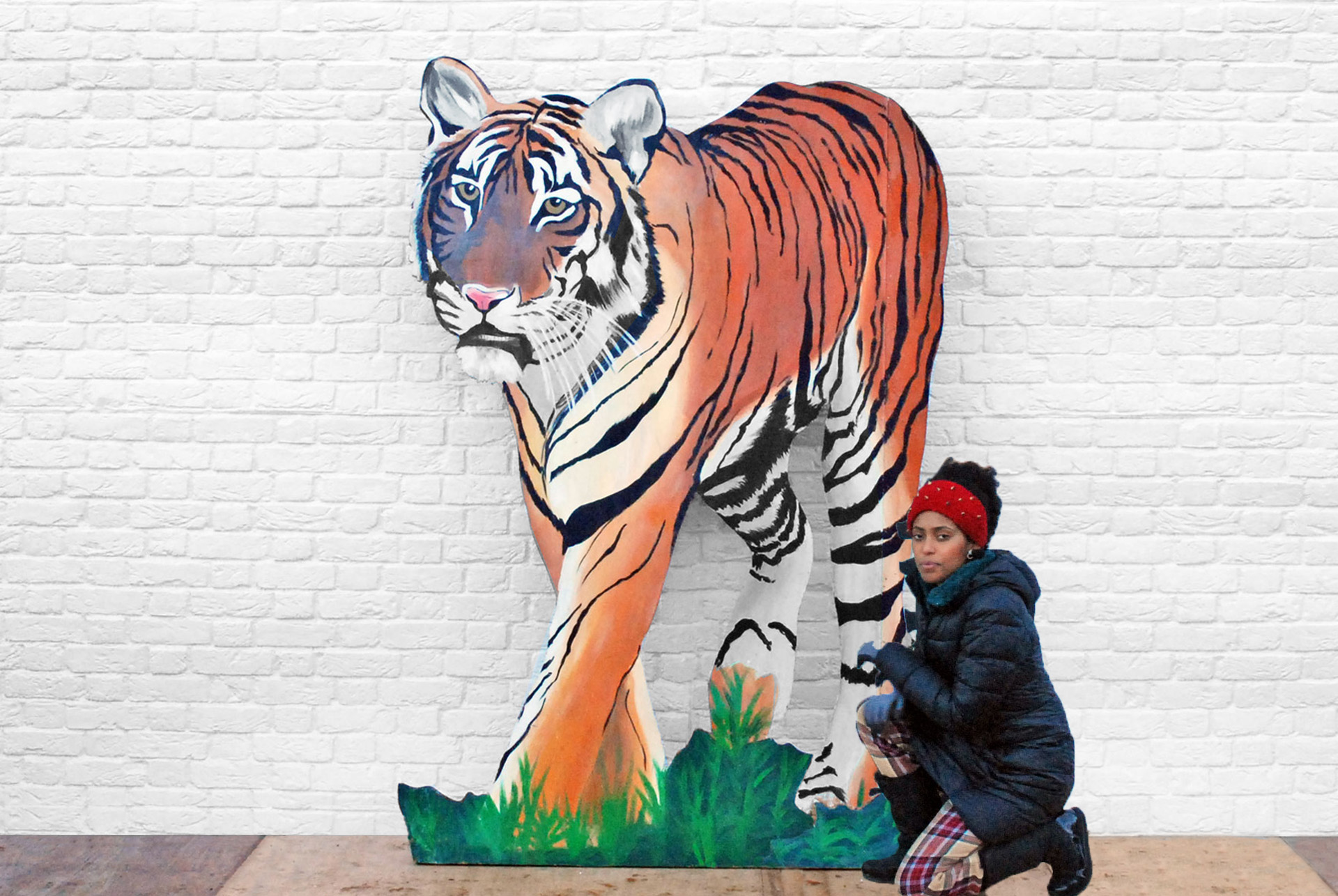 Tiger front view 0049