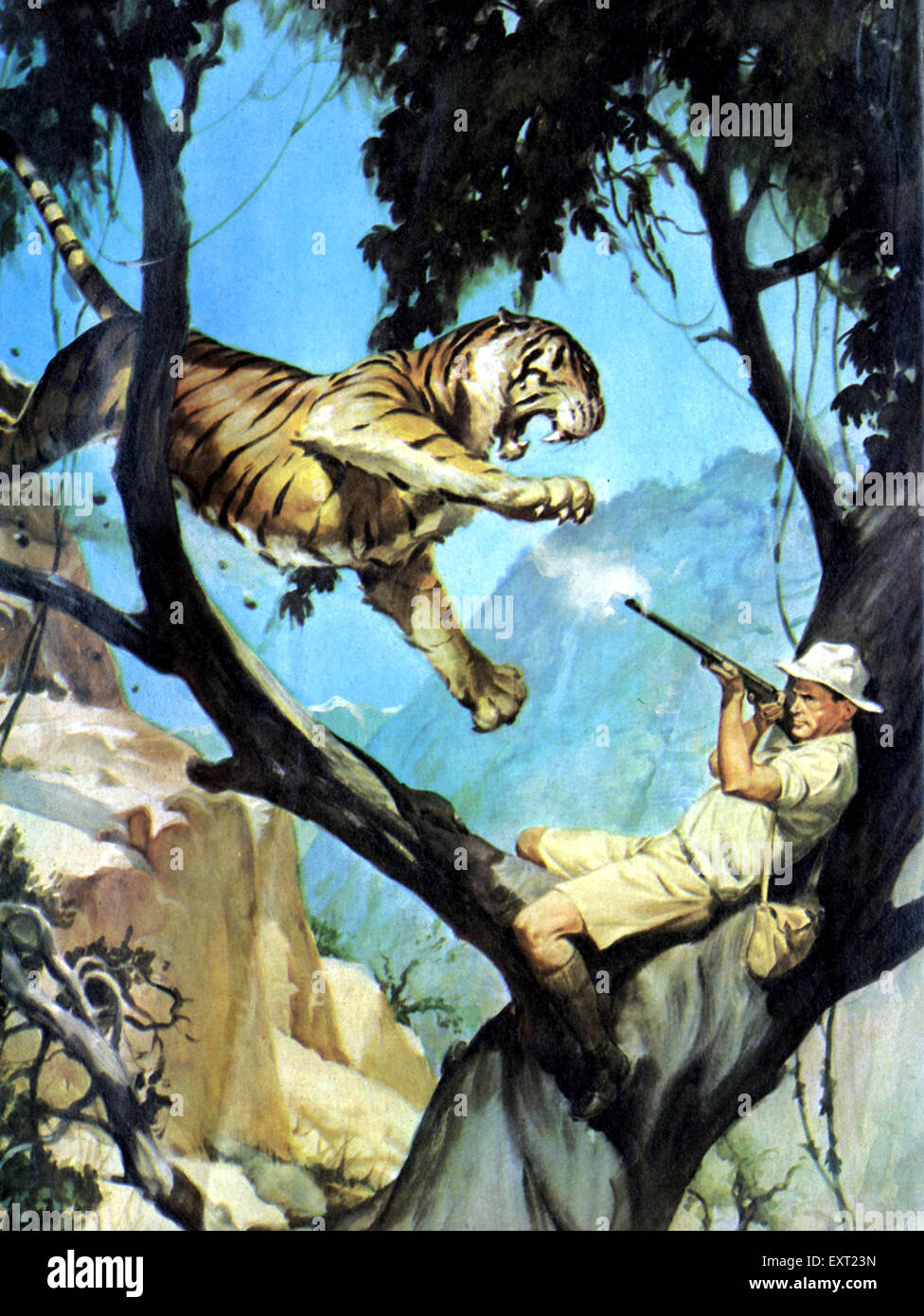 tiger photoshoot 0046