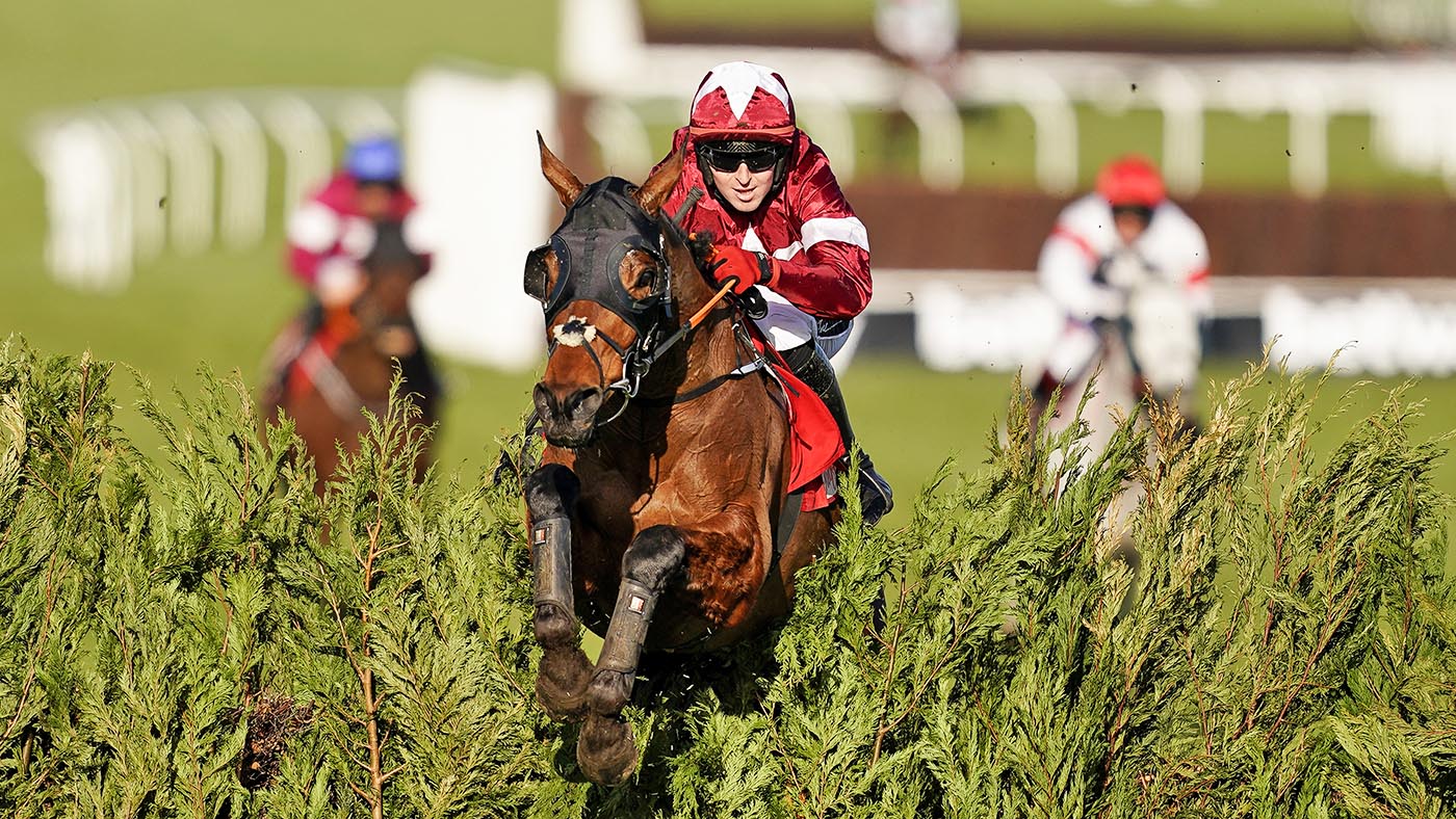 tiger roll cheltenham 0011