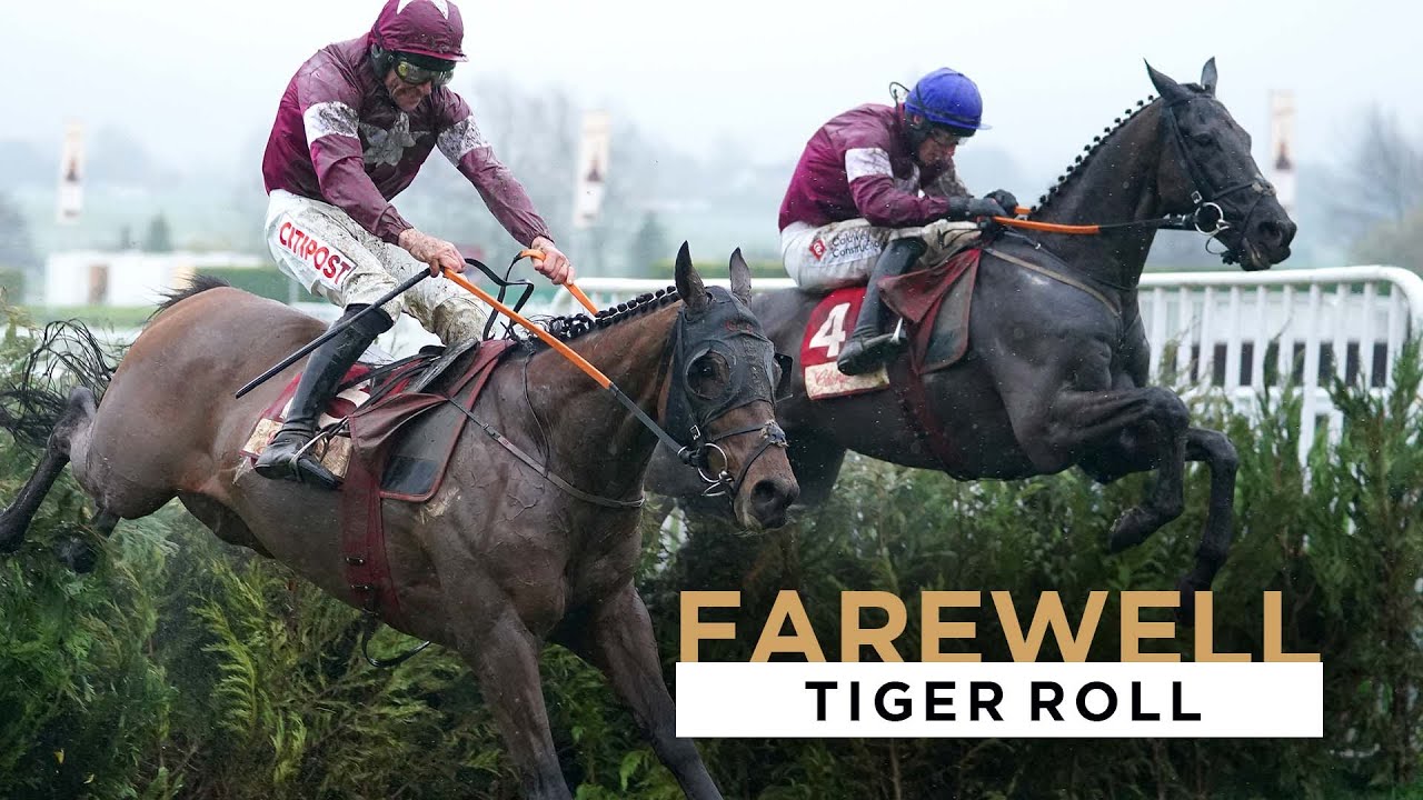 tiger roll cheltenham 0012
