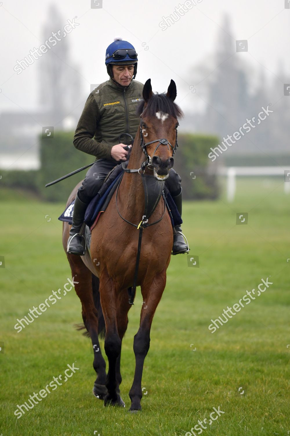 tiger roll cheltenham 0013