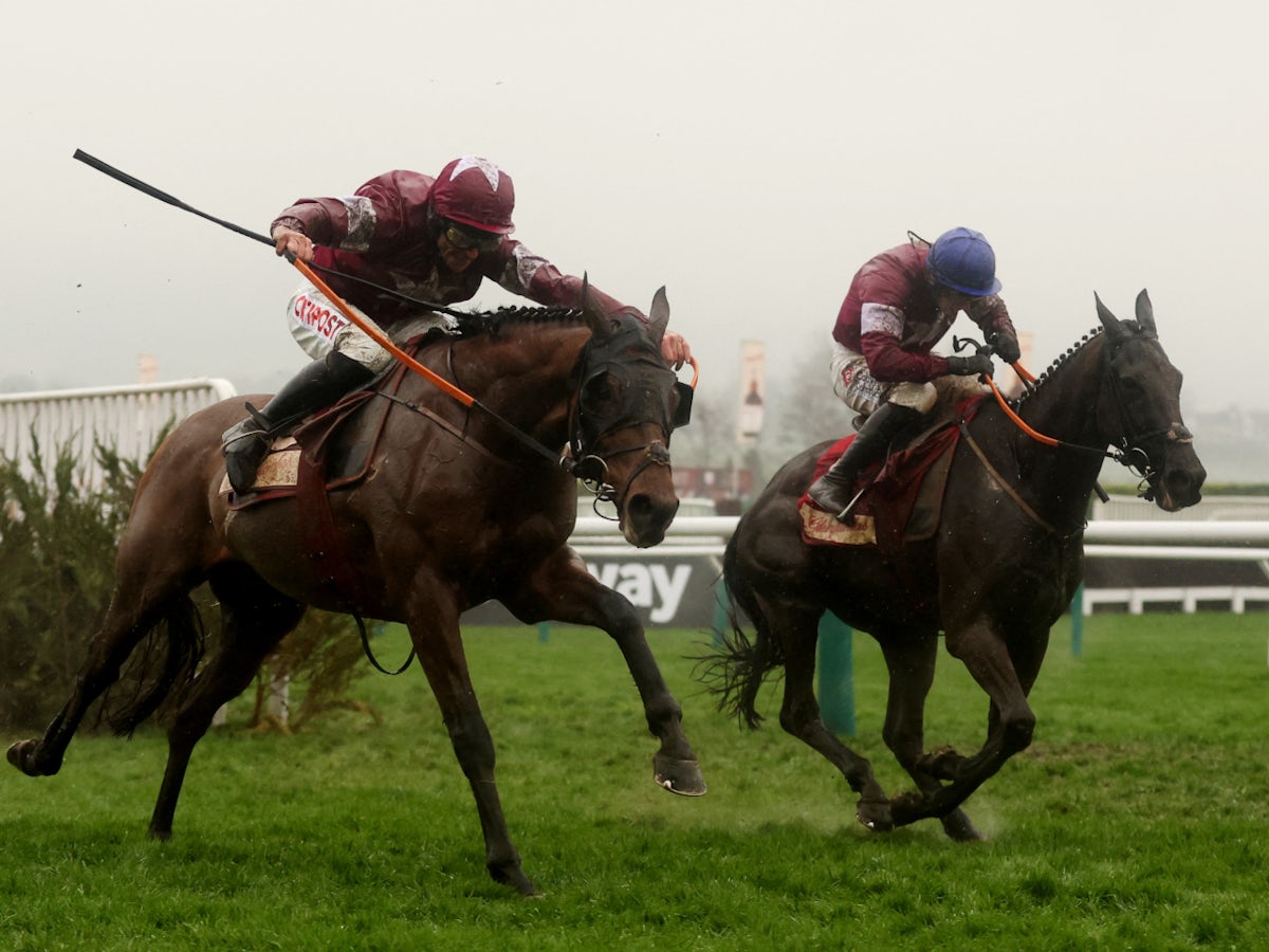 tiger roll cheltenham 0015