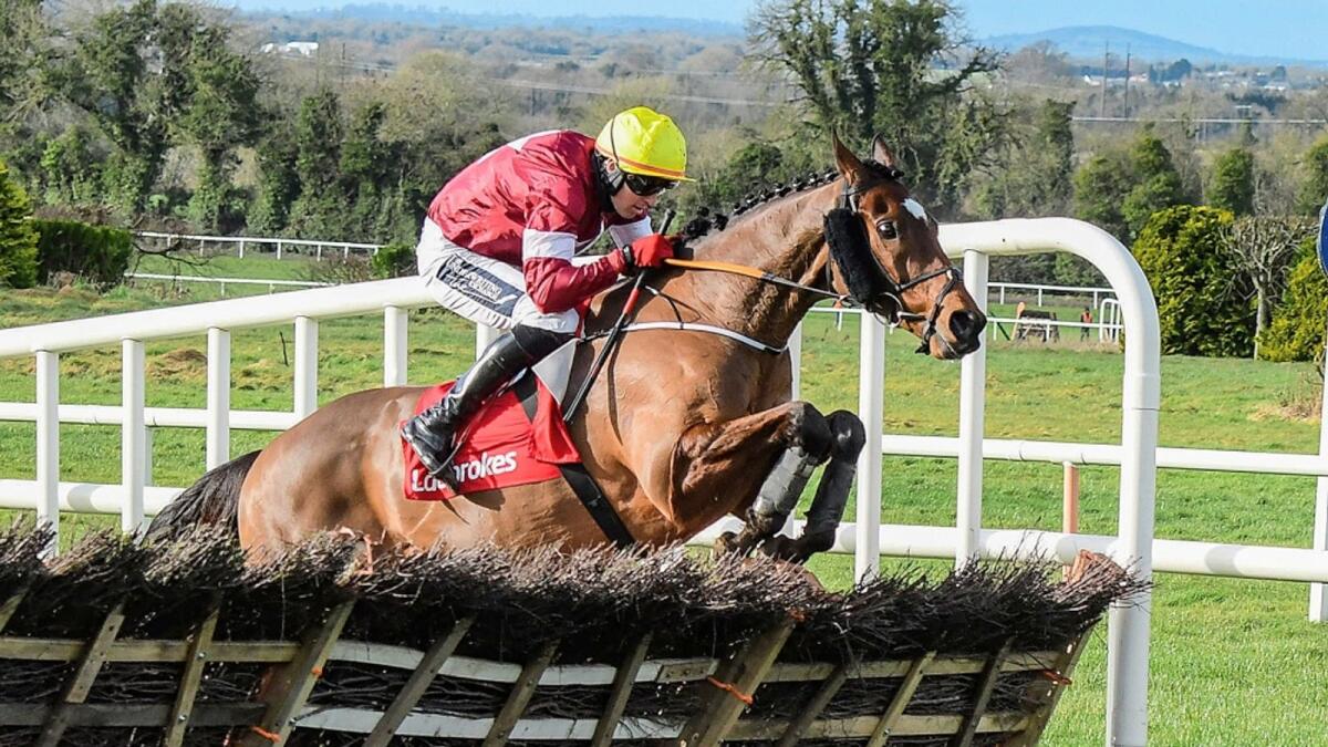 tiger roll cheltenham 0019
