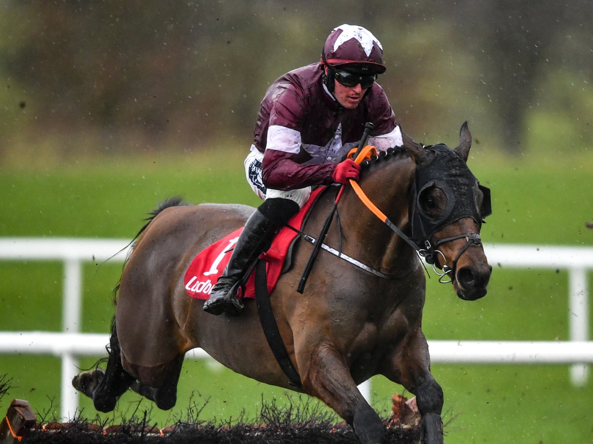 tiger roll cheltenham 0020