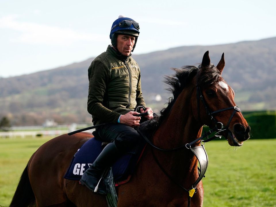 tiger roll cheltenham 0021