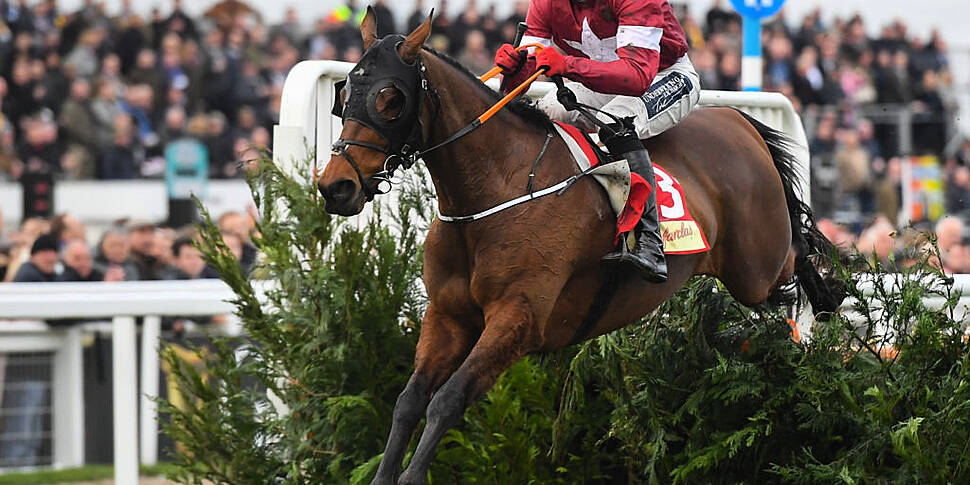 tiger roll cheltenham 0022