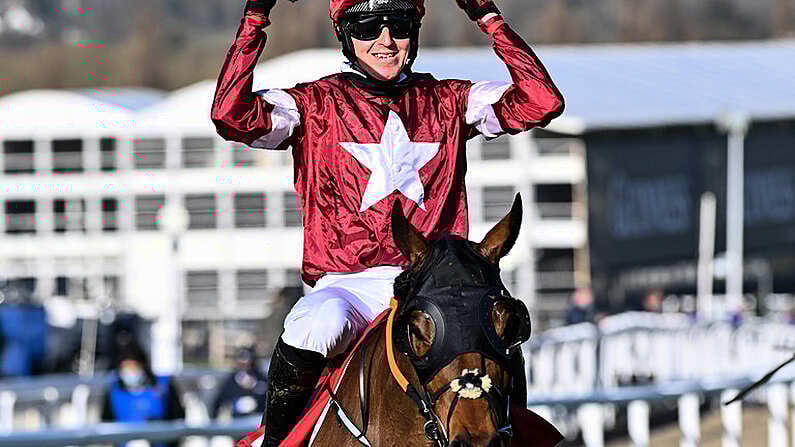 tiger roll cheltenham 0024
