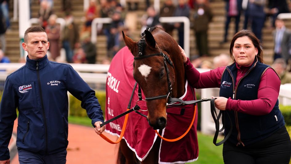 tiger roll cheltenham 0025