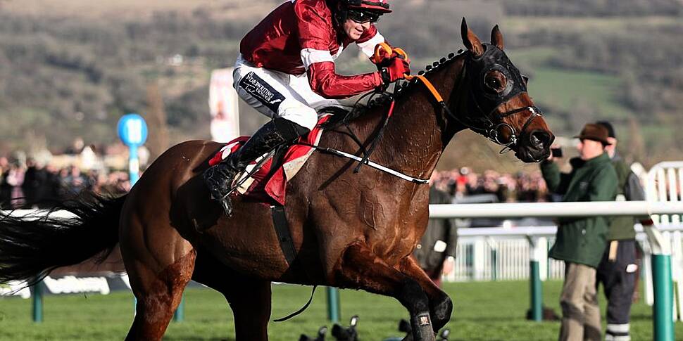 tiger roll cheltenham 0026