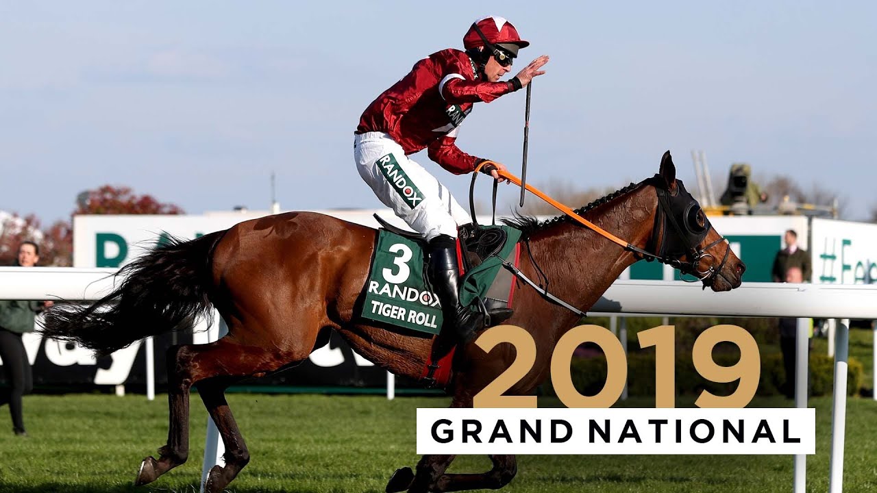 tiger roll cheltenham 0027