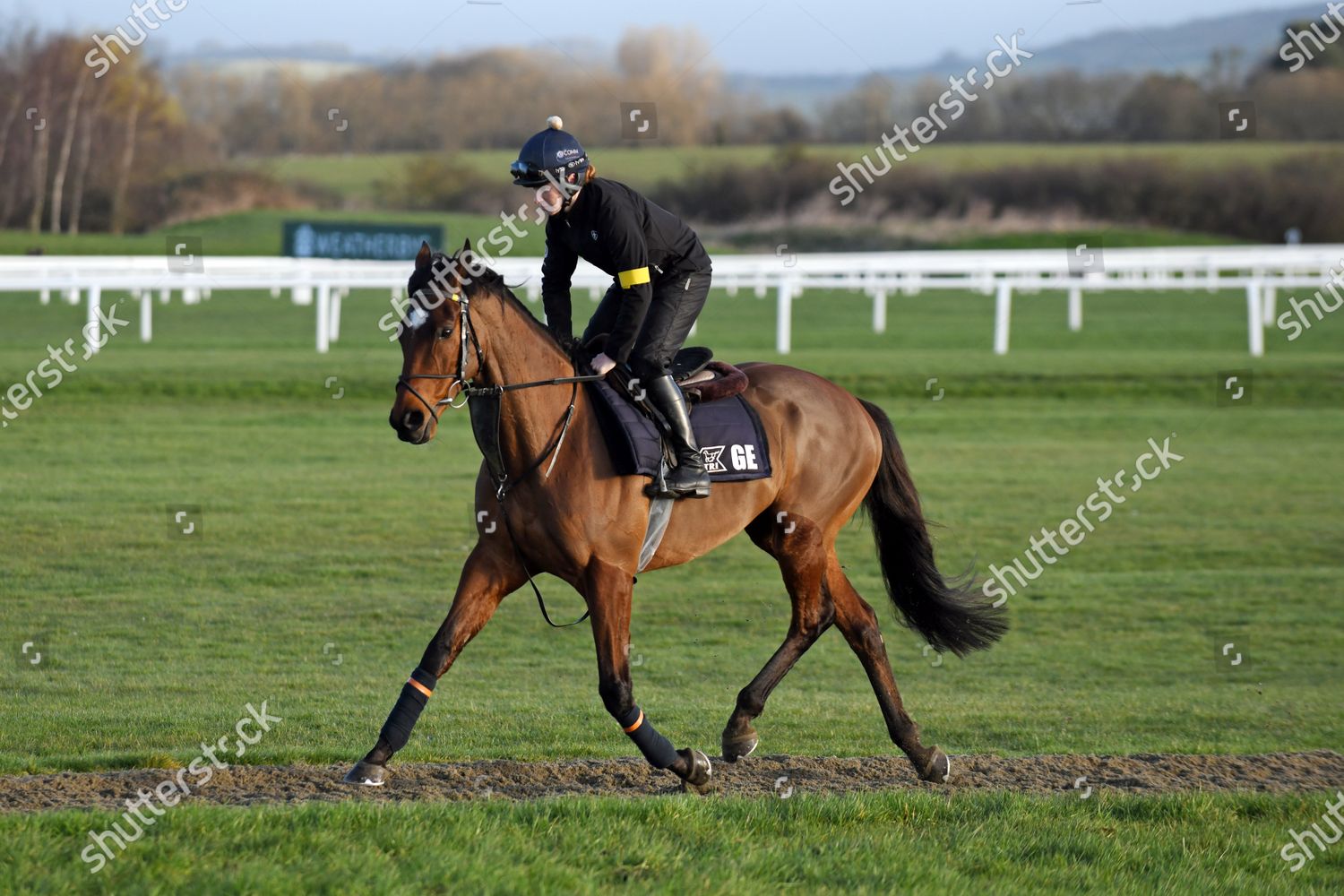 tiger roll cheltenham 0029
