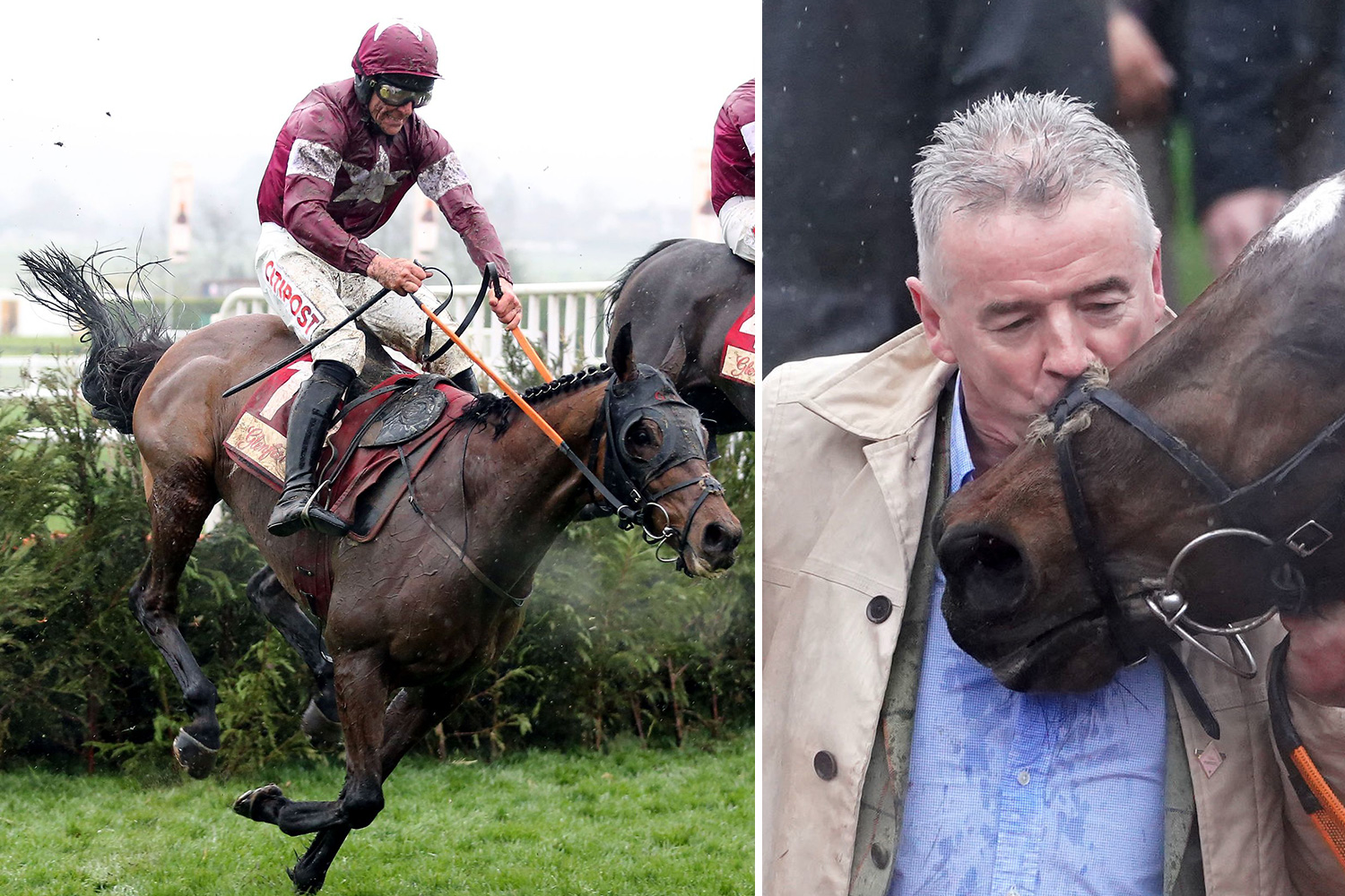 tiger roll cheltenham 0030