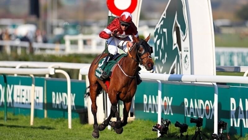 tiger roll cheltenham 0031