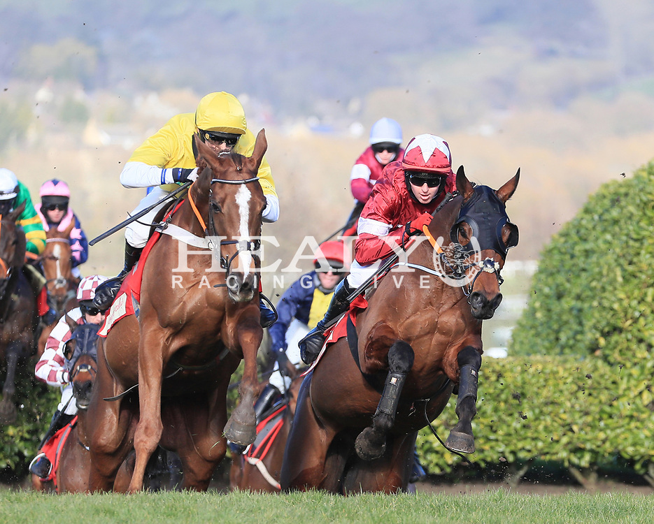 tiger roll cheltenham 0033