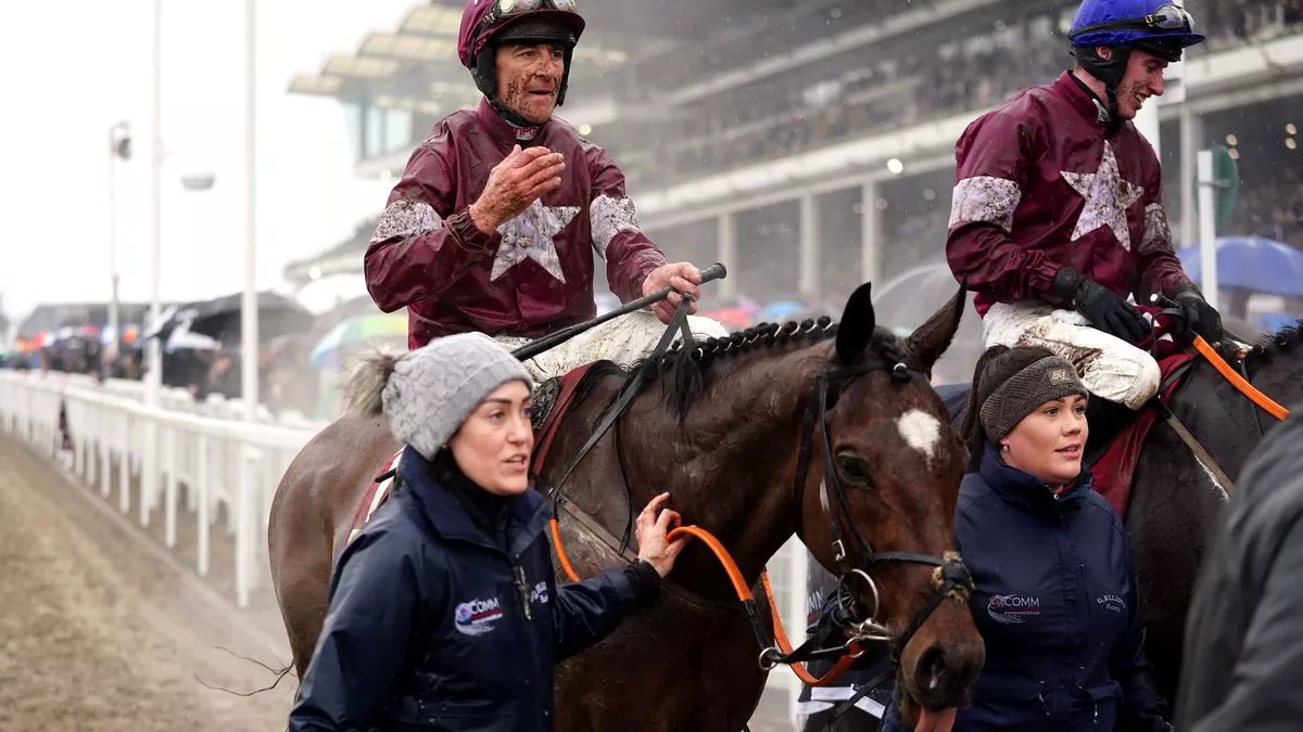 tiger roll cheltenham 0036