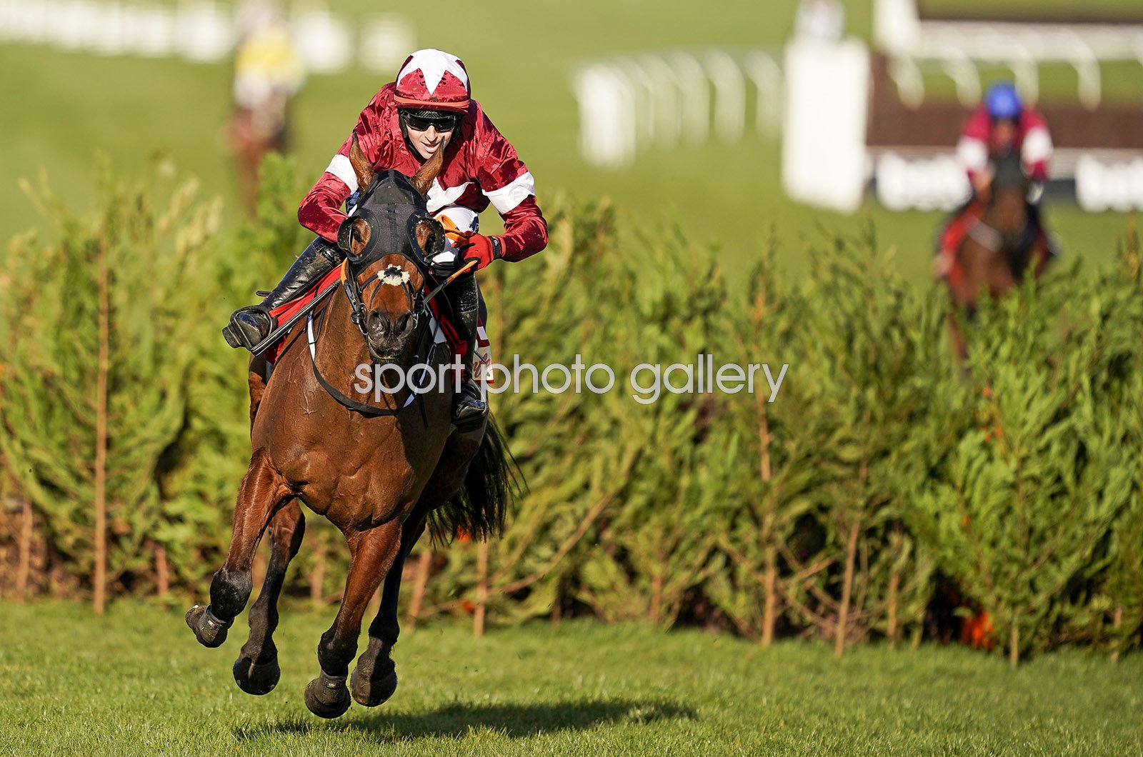 tiger roll cheltenham 0038