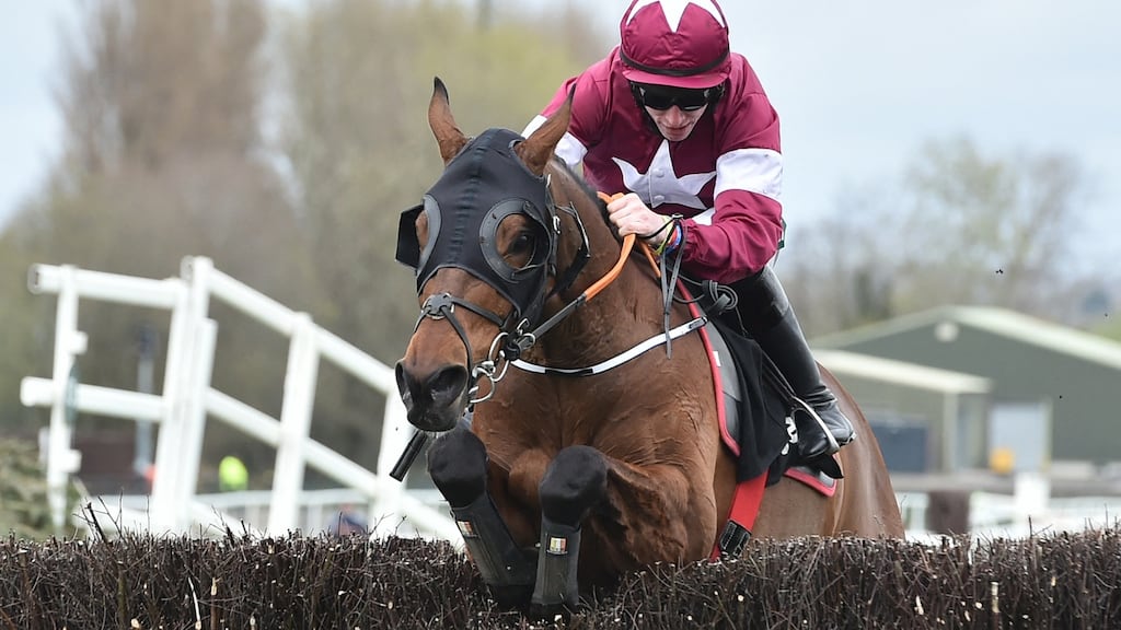 tiger roll cheltenham 0039
