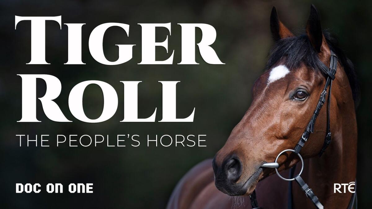 tiger roll cheltenham 0040