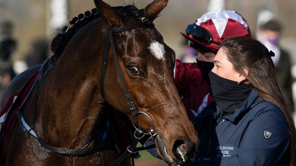 tiger roll cheltenham 0043