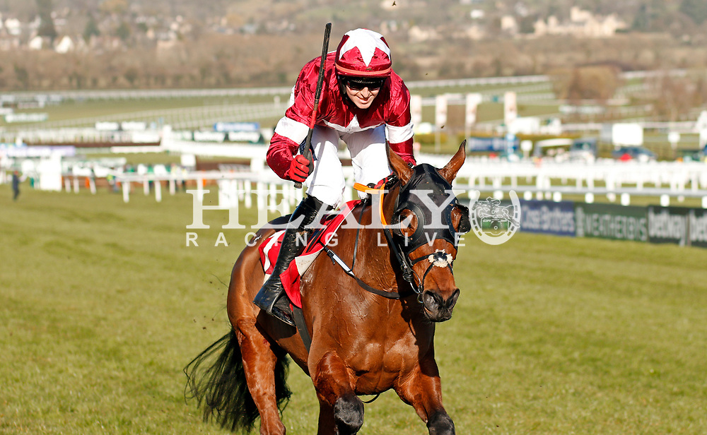 tiger roll cheltenham 0046