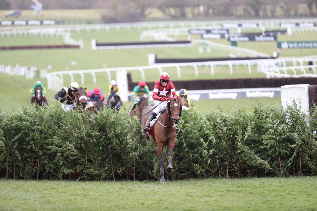 tiger roll cheltenham 0047