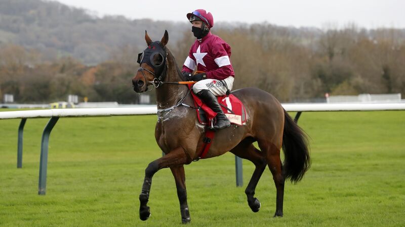 tiger roll cheltenham 0048