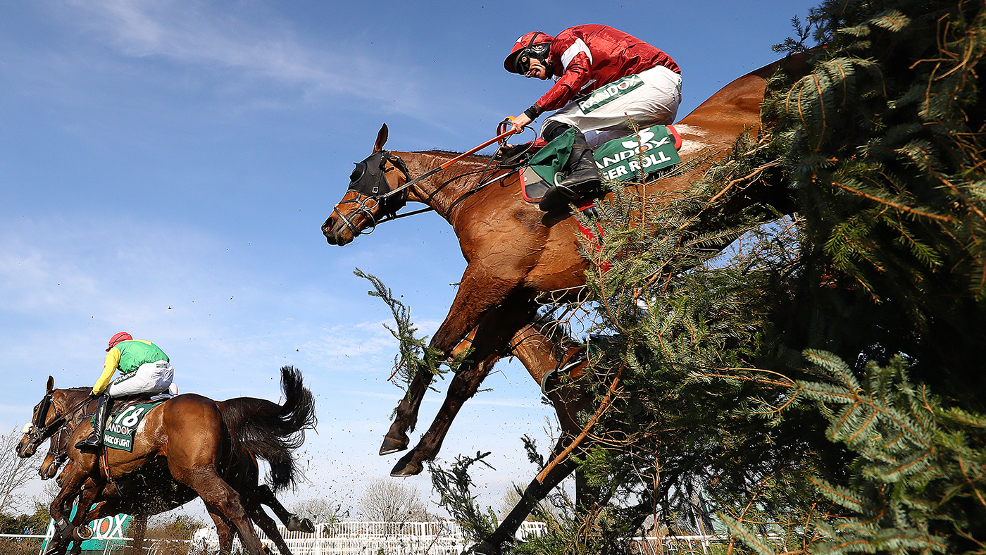 tiger roll cheltenham 0049