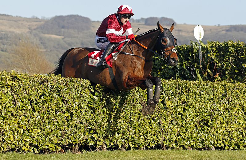 Tiger Roll jockey partnership.
