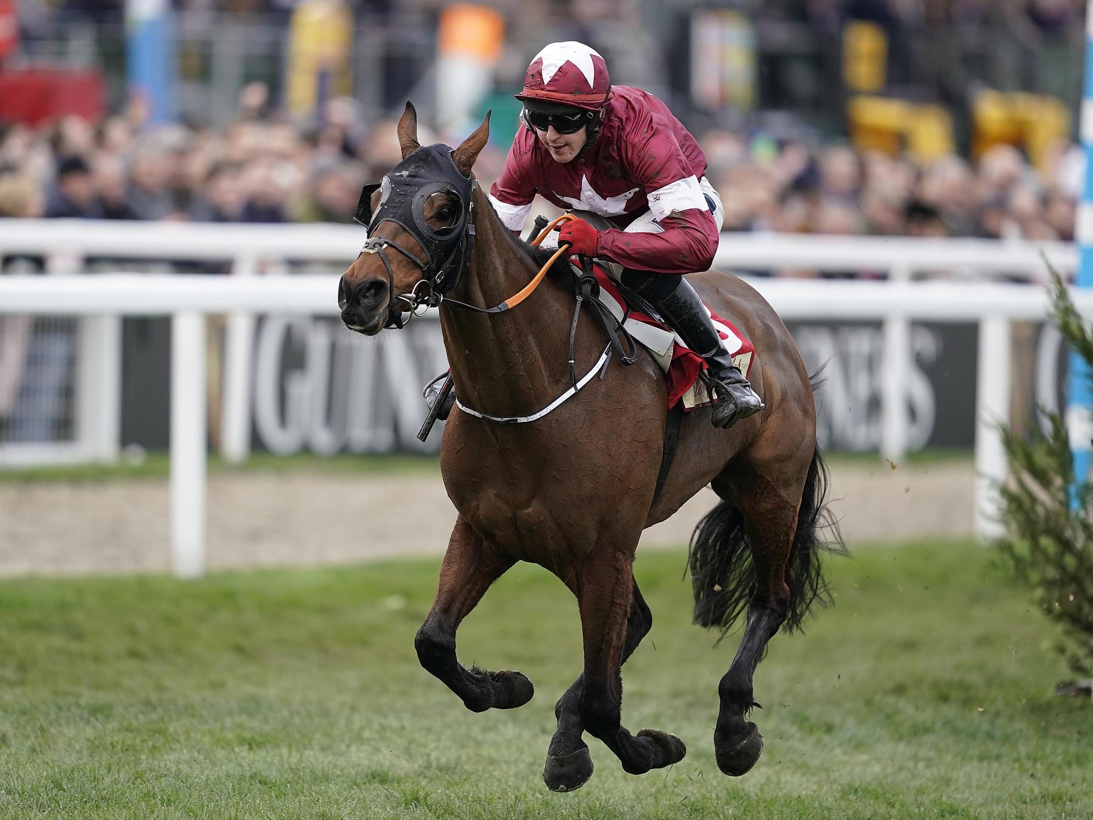 tiger roll next race 0009