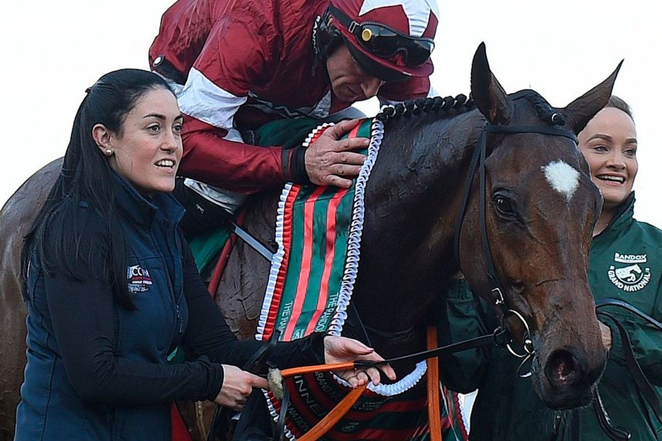 tiger roll next race 0010