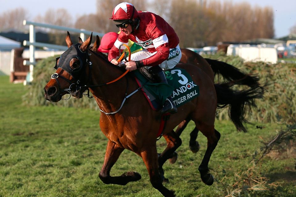 tiger roll next race 0011