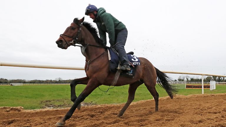 tiger roll next race 0013