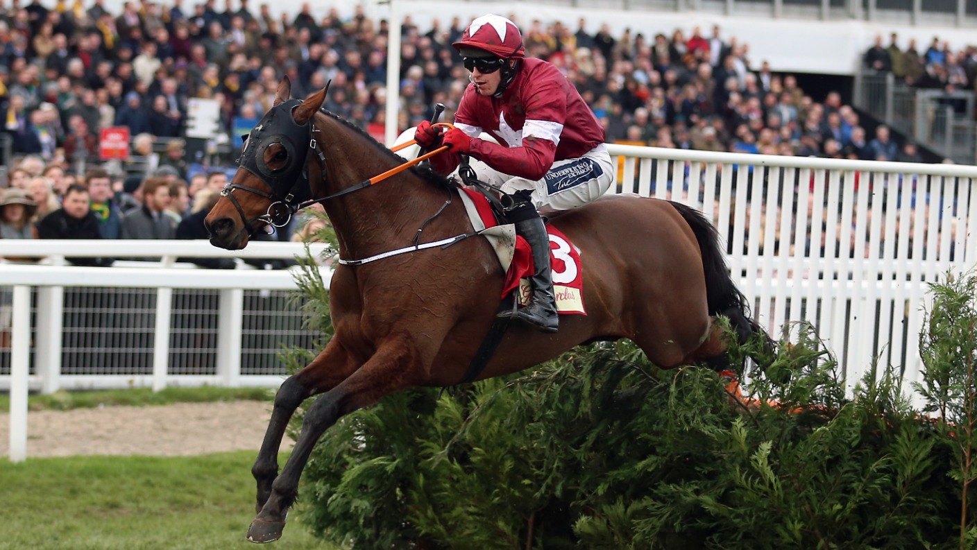 tiger roll next race 0014