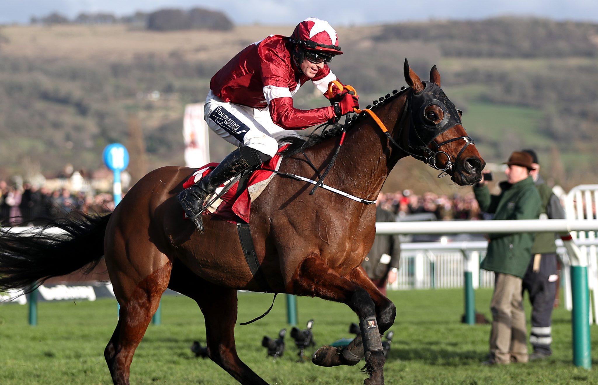 tiger roll next race 0017