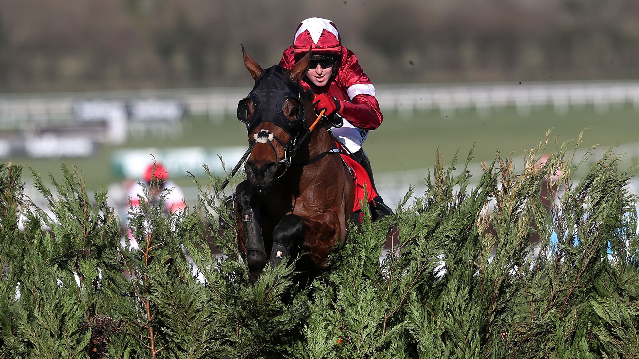 tiger roll next race 0019