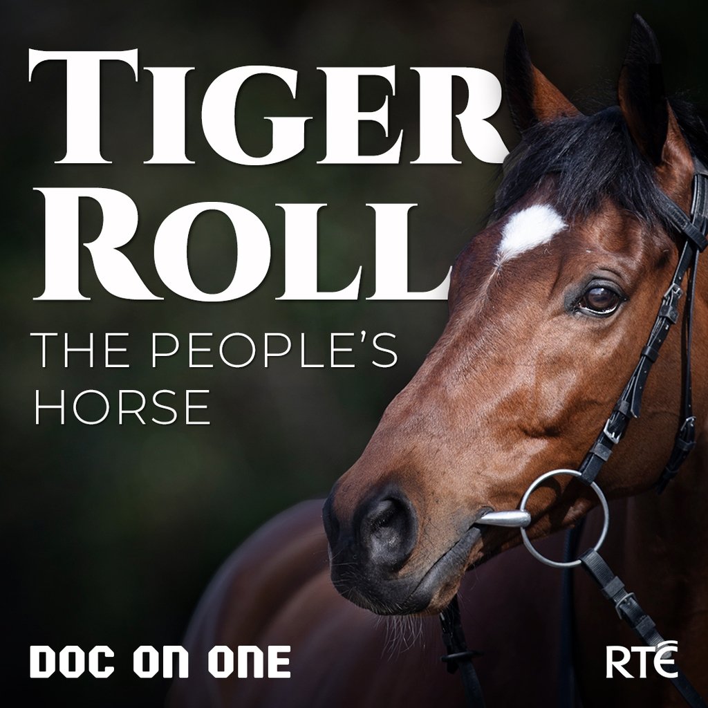 tiger roll next race 0021