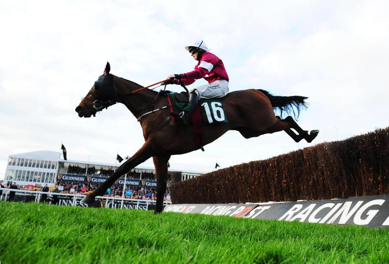 tiger roll next race 0022