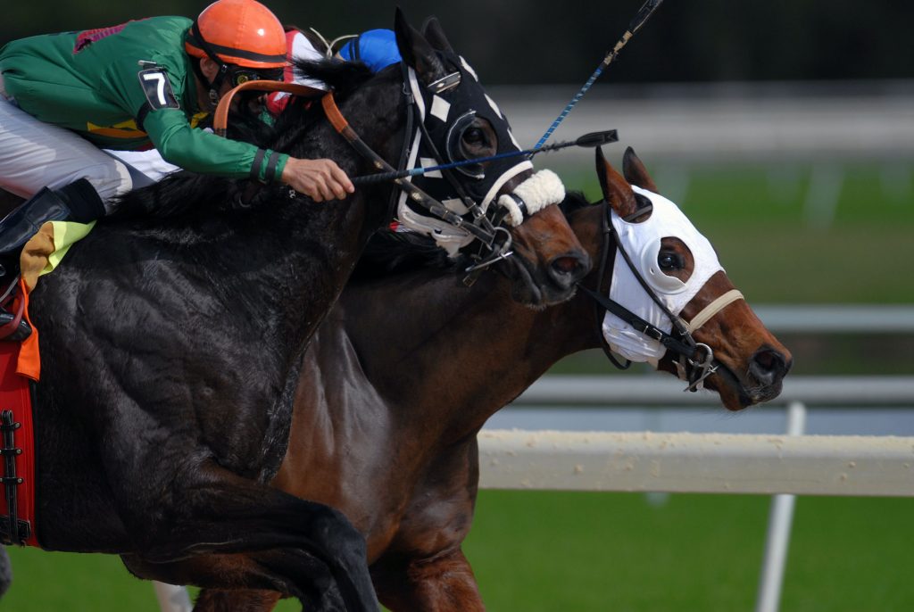 tiger roll next race 0024