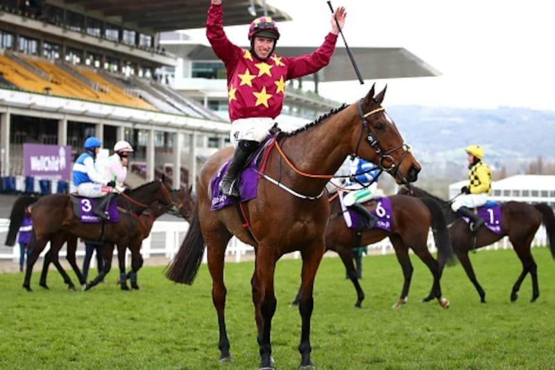 tiger roll next race 0025