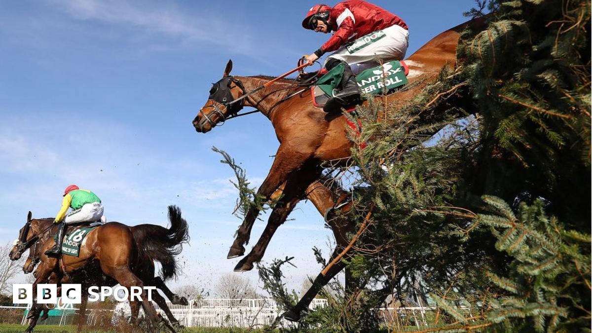 tiger roll next race 0027