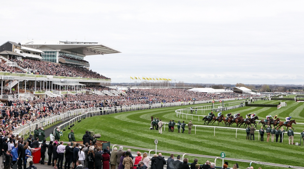 tiger roll next race 0028