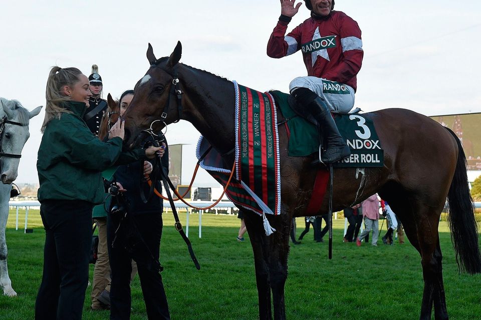 tiger roll next race 0029