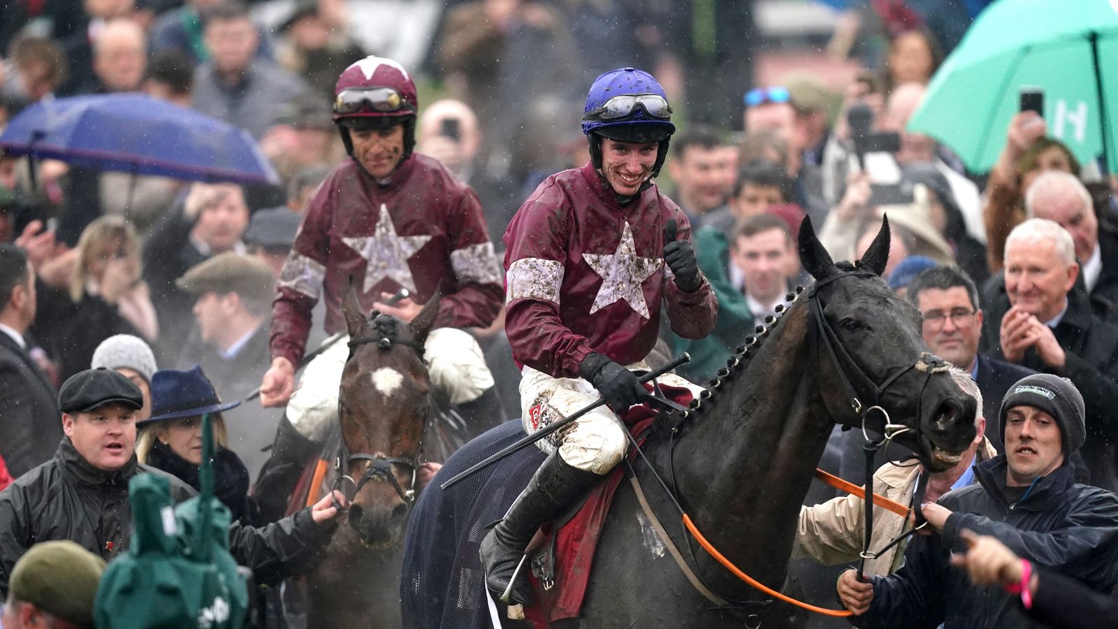 tiger roll next race 0030