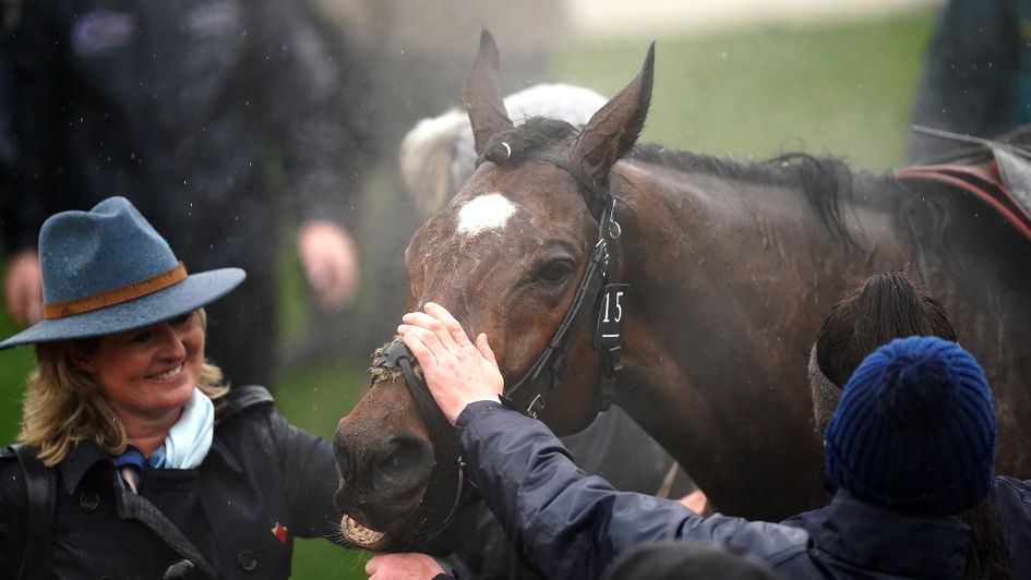 tiger roll next race 0031