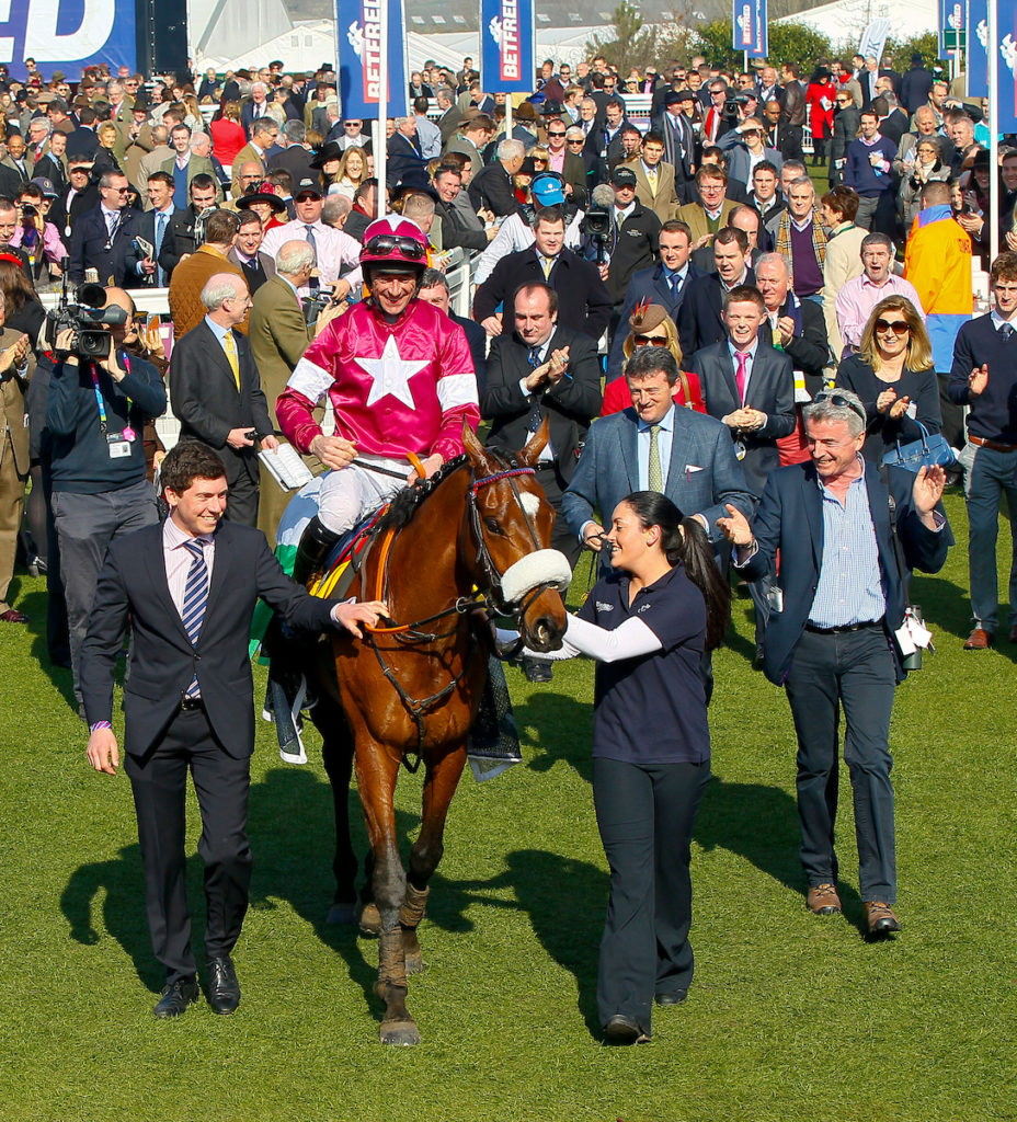 tiger roll next race 0034
