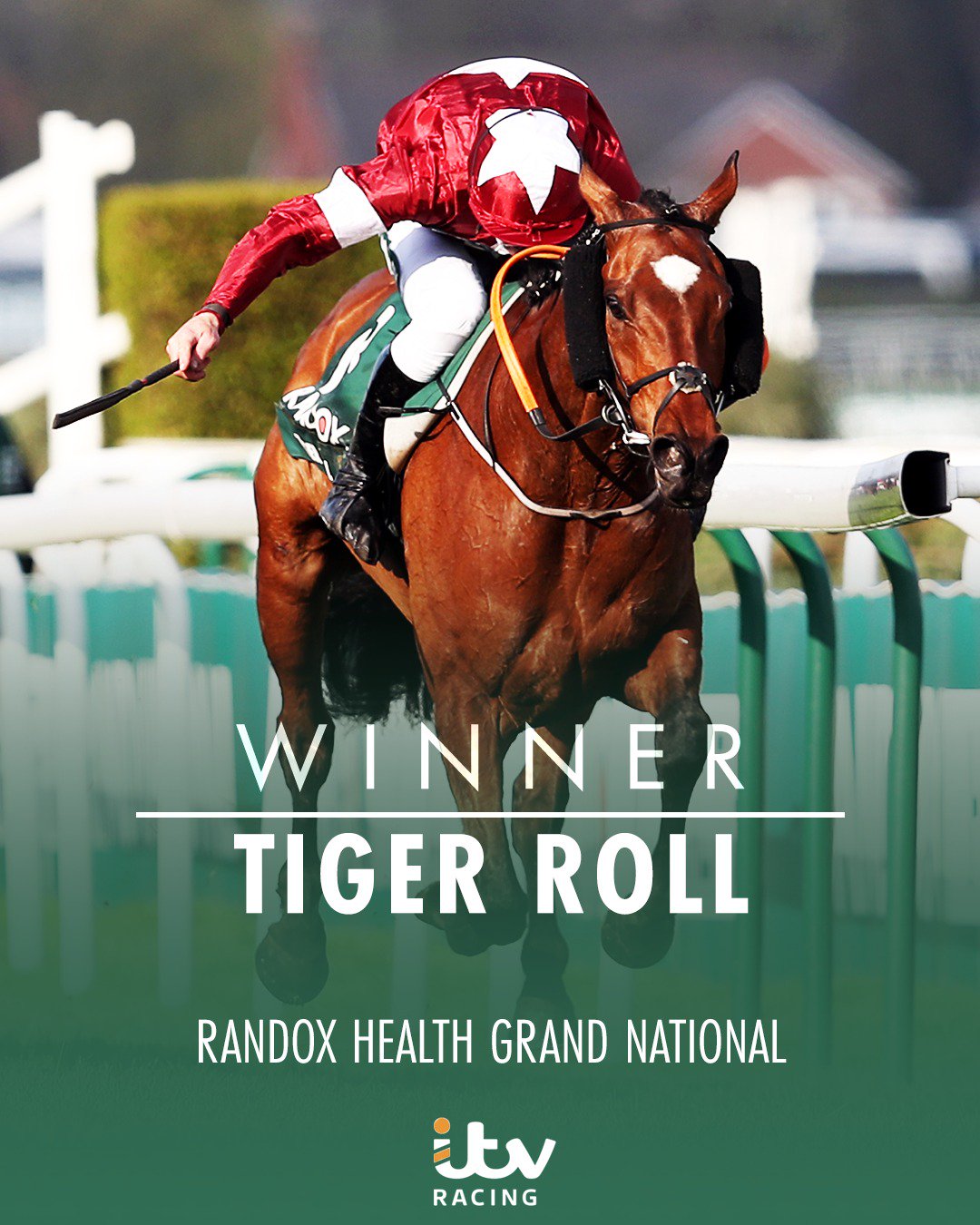 tiger roll next race 0036