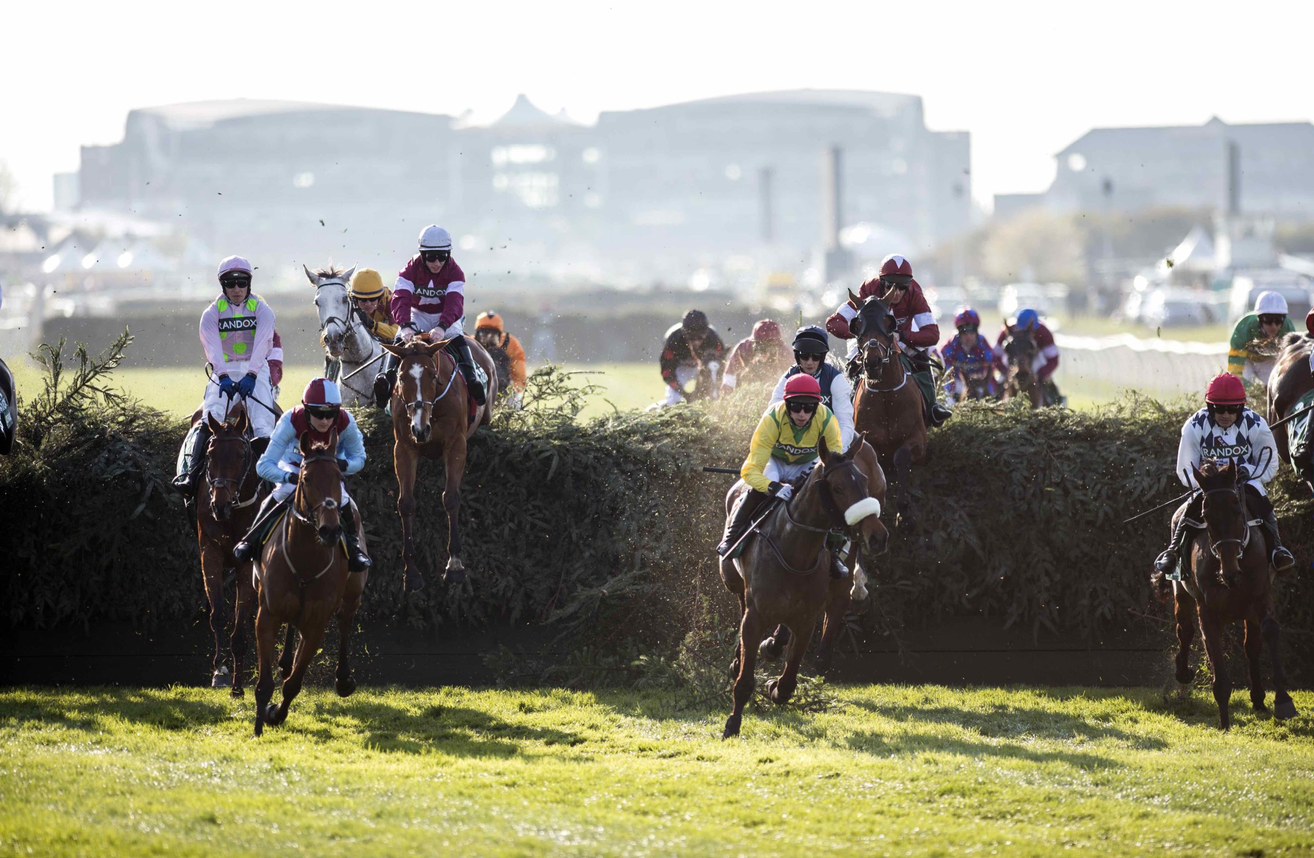 tiger roll next race 0037